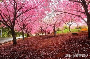 https://weww.4000500521.com//upimg/seot/t20161219142324159.jpg