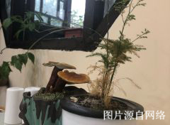 https://weww.4000500521.com//upimg/seot/t20190701173553213.jpg