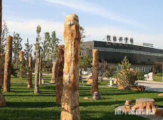 https://weww.4000500521.com//upimg/seot/t20190702164554230.jpg